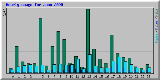 Hourly usage for June 2025