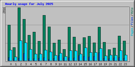 Hourly usage for July 2025