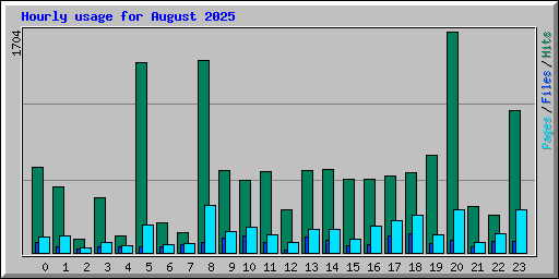 Hourly usage for August 2025